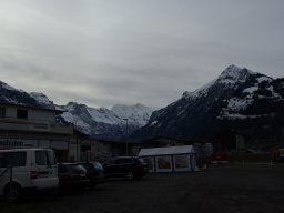 IMGP4115